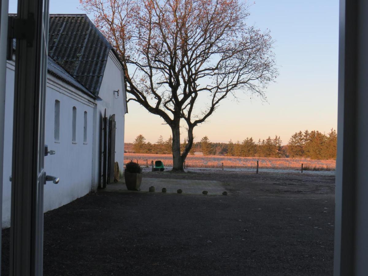 Bogelund Sleep-In Hotell Kårup Eksteriør bilde